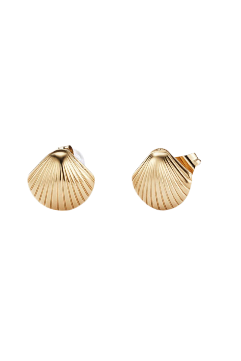 Oorbellen Shell