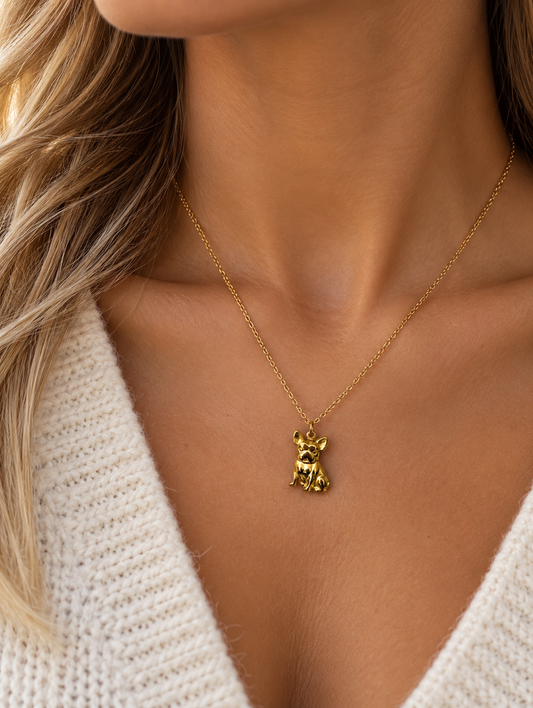 Ketting Frenchie