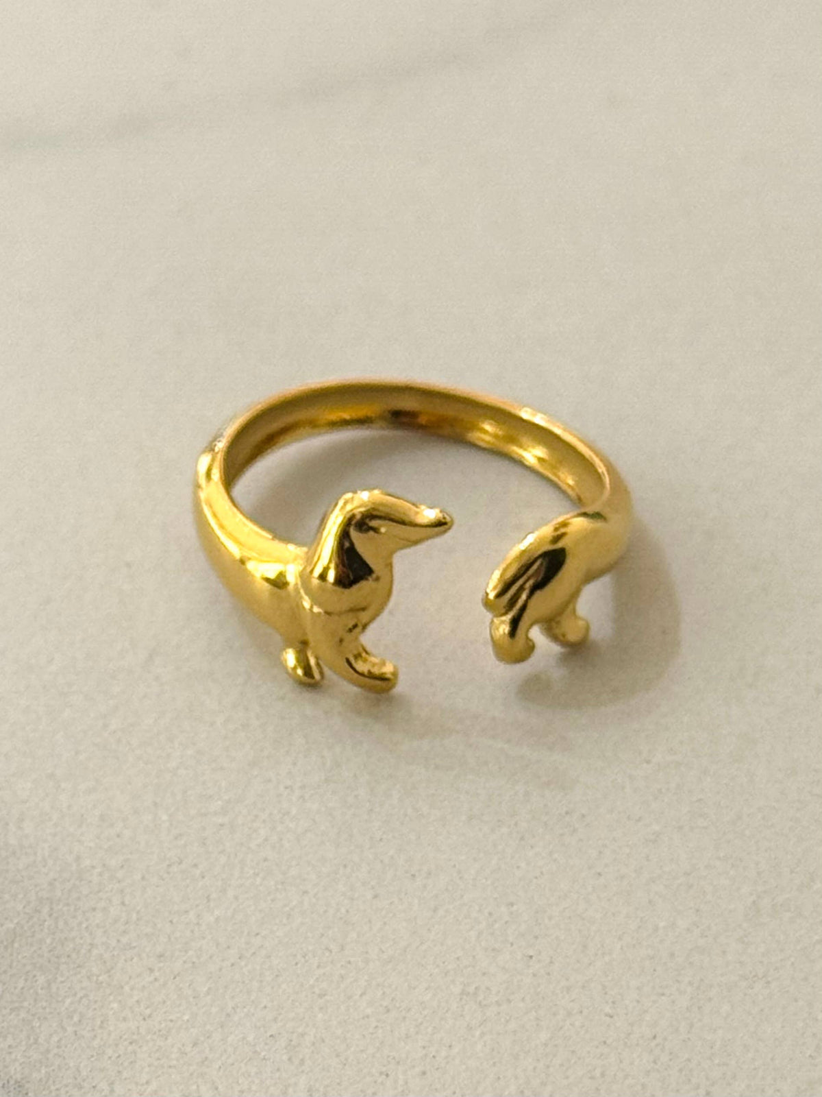 Ring Teckel