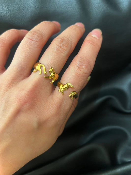 Ring Teckel